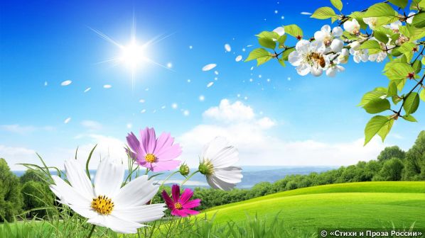 beautiful-backgrounds-summer-wallpaper-background-scenery-flowers-zkqve-wallpapers-high-definition-wallpaper.jpg
