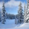 winter_pictar.ru__16_.jpg